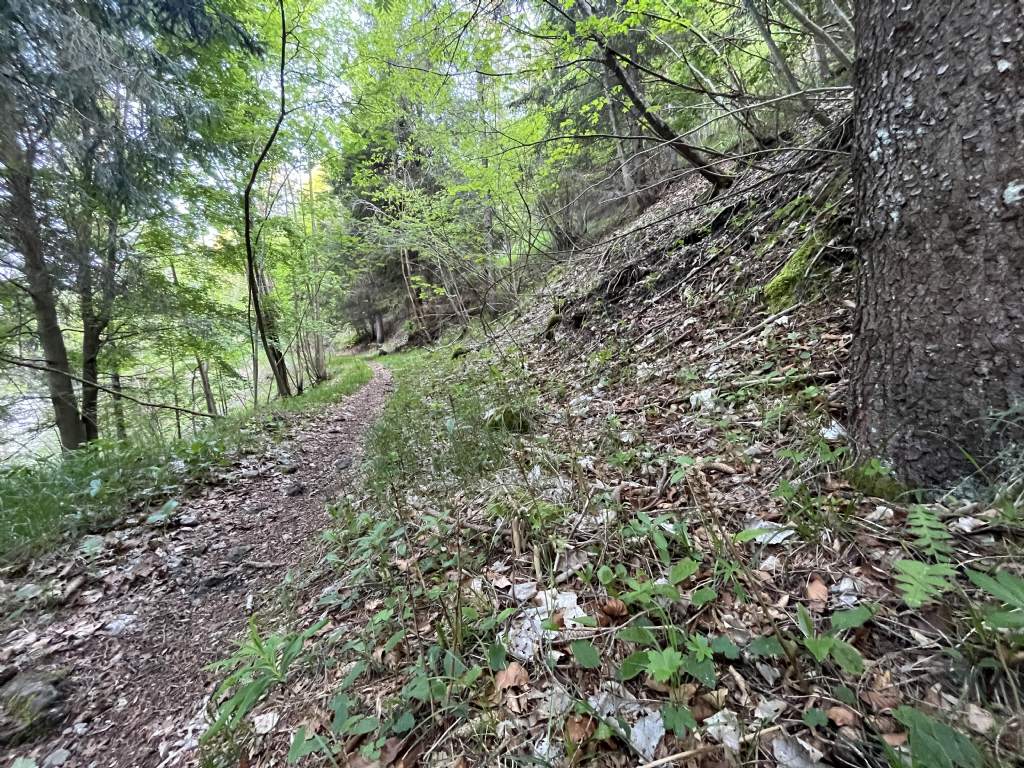 Bocca di Valle...Bondone (TN)